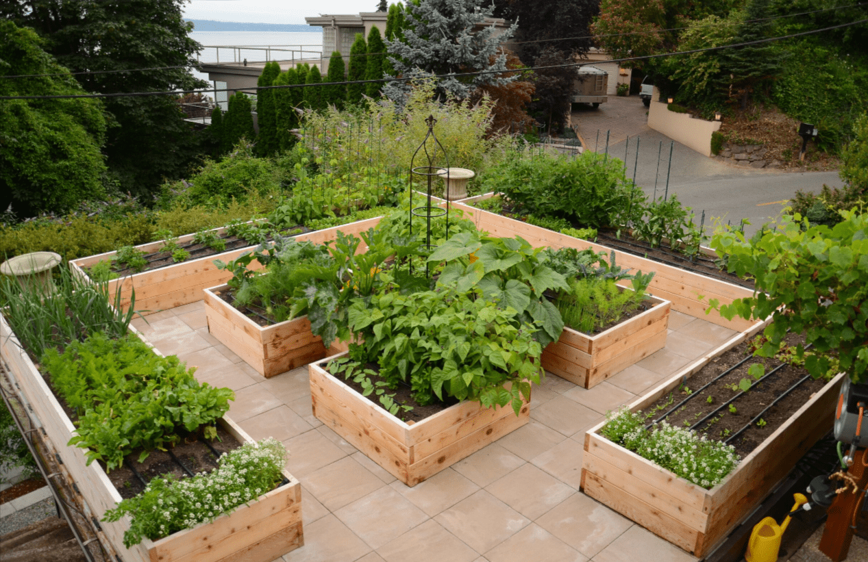 Raised Bed Gardening